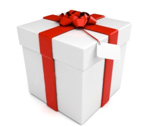 pointofviewcameras-gift-wrap-box